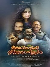 Themmadi Kunnile Thanthonnikal (2025) HDRip Malayalam Full Movie Watch Online Free